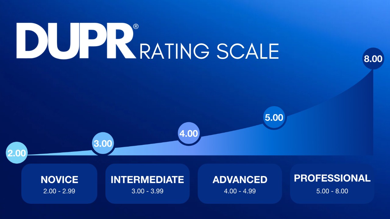 DUPR rating scale